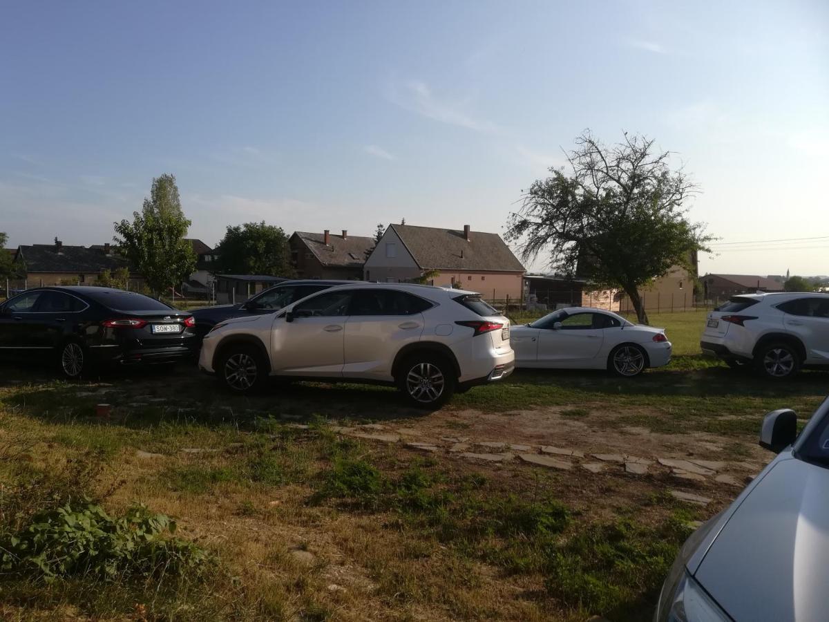Апартаменти Edina Vendeghaz-Дьєнешдіаш Екстер'єр фото